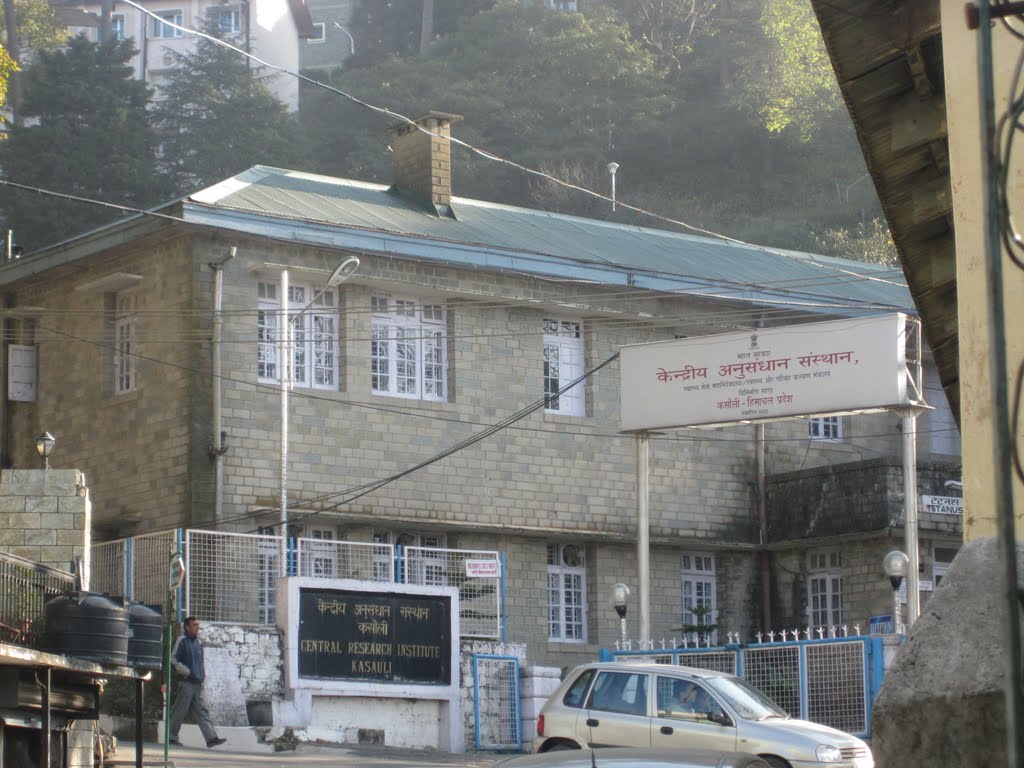 Central Research Institute CRI Kasauli