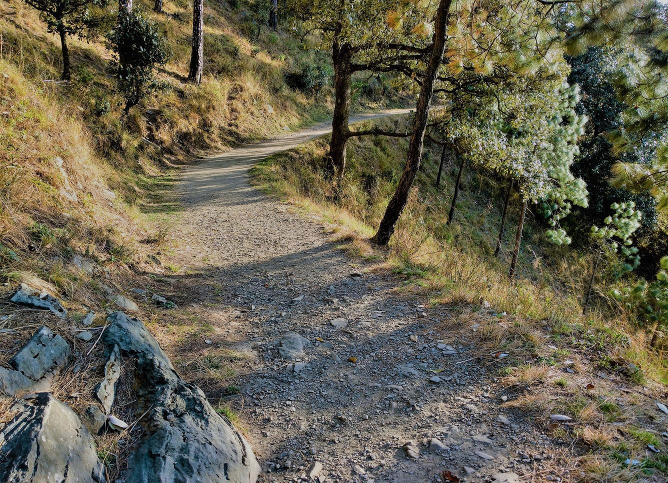 Gilbert-Trail-Kasauli