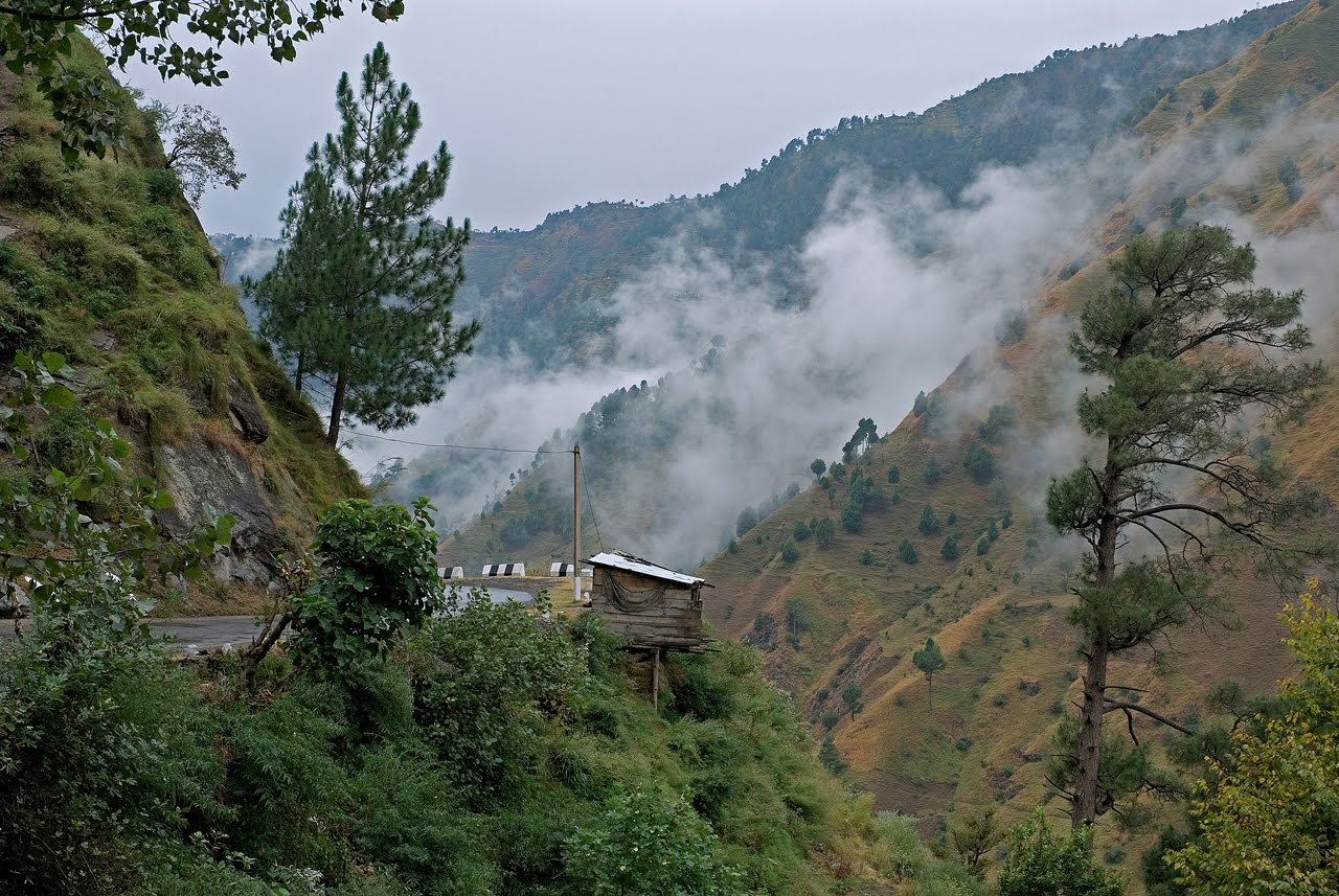 Kasauli Views